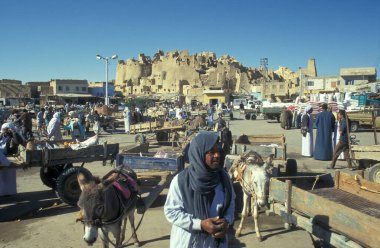 Kuzey Afrika 'nın Libya' daki eski Siwa Köyü 'ndeki Gıda Pazarı' nda bir eşek arabası. Mısır, Siwa, Mart 2000