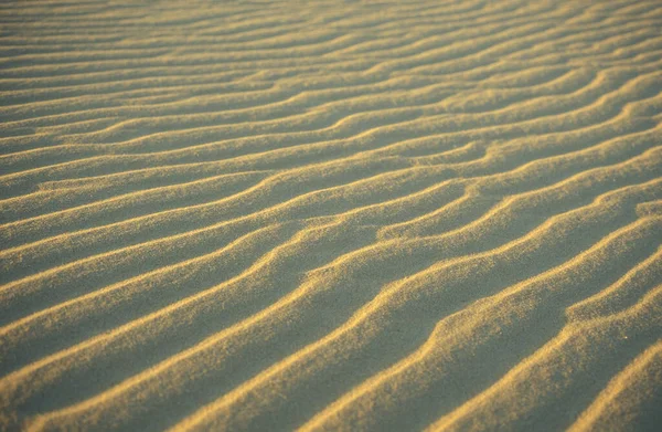 Paisagem Natureza Deserto Branco Perto Aldeia Farafra Deserto Líbio Ocidental — Fotografia de Stock