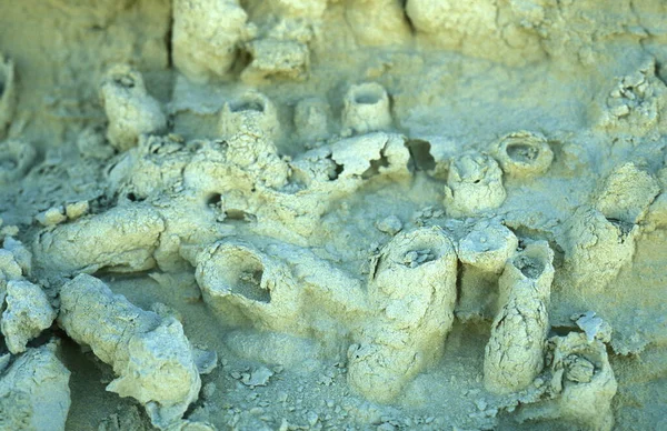 Formações Pedra Natural Paisagem Natureza Deserto Branco Perto Aldeia Farafra — Fotografia de Stock
