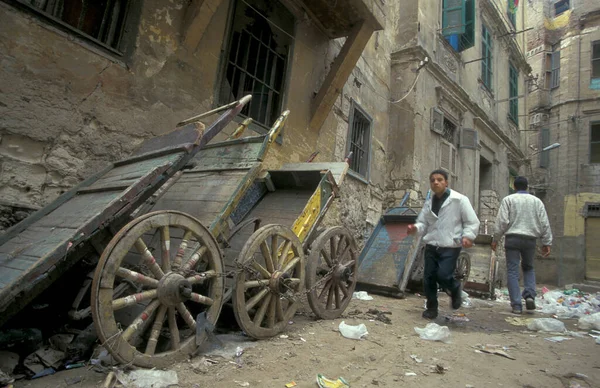 Люди Городе Александрия Средиземном Море Египте Северной Африке Египет Александрия — стоковое фото