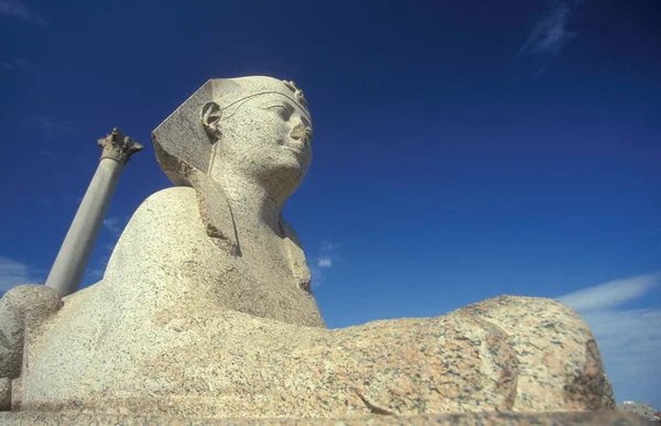 Sfinksi Pompein Pylvään Puistossa Aleksandrian Kaupungin Keskustassa Välimerellä Egyptissä Pohjois — kuvapankkivalokuva