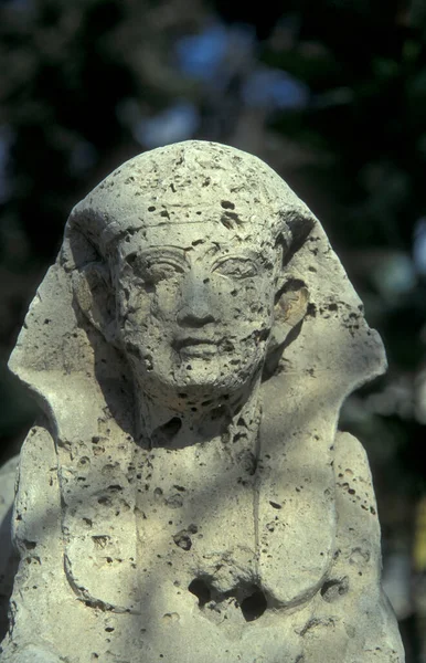 A狮身人面像 位于北非埃及地中海亚历山大港市中心庞贝界碑柱公园 亚历山大 2000年3月 — 图库照片