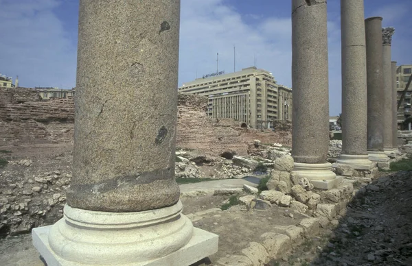 Археологическое Место Помпеи Столб Парка Центре Города Александрия Средиземном Море — стоковое фото