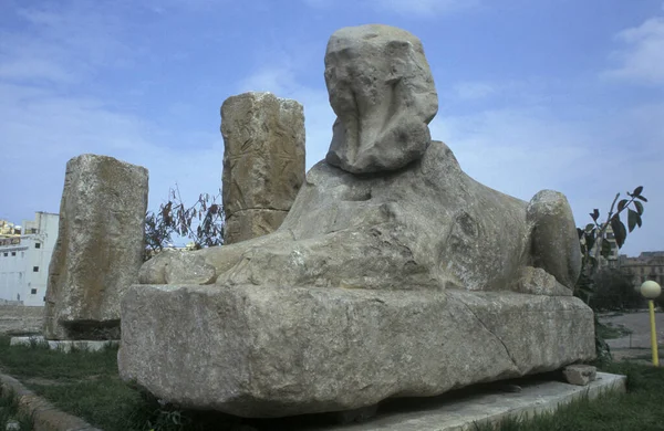 İskenderiye Şehir Merkezi 'ndeki Pompei Sütun Parkı' nda bir Sfenks. Kuzey Afrika 'da Mısır' da Akdeniz 'de. Mısır, İskenderiye, Mart 2000