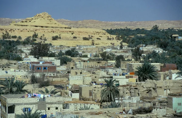 Pohled Město Oázu Farafry Libyjské Nebo Západní Poušti Egypta Severní — Stock fotografie
