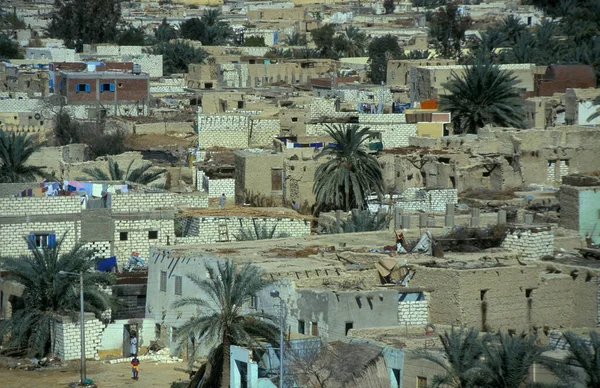 북아프리카의 이집트의 리비아 사막에서 프라의 마을과 오아시스의 이집트 파라프라 2000년 — 스톡 사진