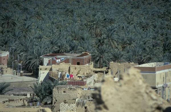 Старая Деревня Сива Ливии Пустыне Египет Северной Африке Египет Сива — стоковое фото