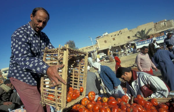 Gente Mercado Alimentos Antigua Aldea Siwa Desierto Libio Israelita Egipto — Foto de Stock