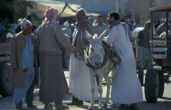 北アフリカのリビアやエジプトのエジプトのエステル砂漠のシワの古い村のフードマーケットで人々とドンキー エジプト 2000年3月 — ストック写真