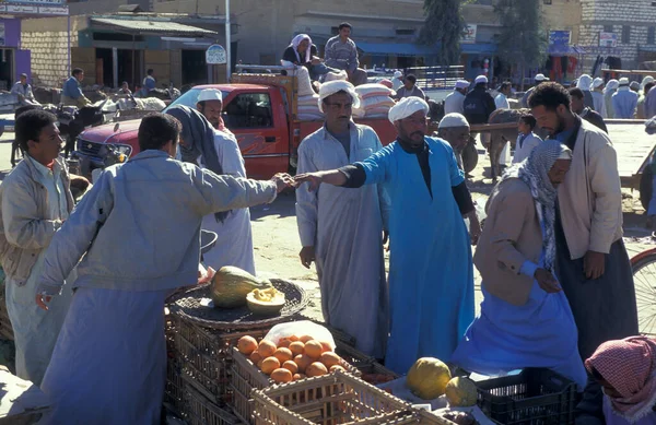 Pessoas Mercado Alimentos Antiga Aldeia Siwa Deserto Líbio Deserto Egito — Fotografia de Stock
