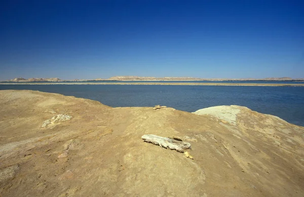 北アフリカのエジプトの地中海にあるマルサ マトルーの町の海岸とビーチ エジプト アレクサンドリア 2000年3月 — ストック写真