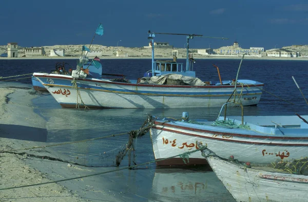 Pesquero Puerto Pesquero Ciudad Marsa Matruh Mar Mediterráneo Egipto Norte — Foto de Stock