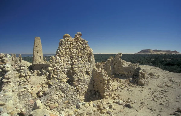 Het Oude Dorp Siwa Libische Vroegere Woestijn Van Egypte Noord — Stockfoto