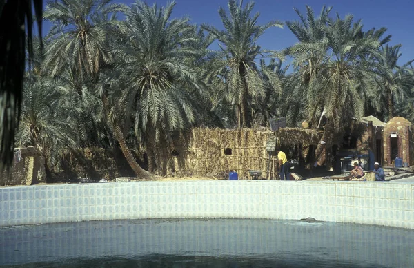 Manantial Agua Dulce Antigua Aldea Siwa Desierto Libio Israelí Egipto — Foto de Stock