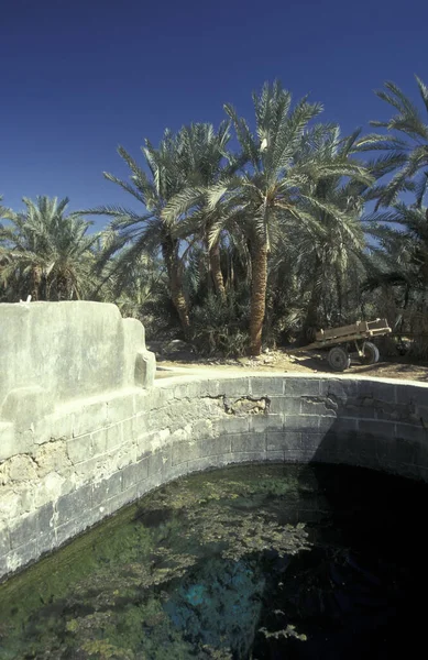 Eine Süßwasserquelle Alten Dorf Siwa Der Libyschen Oder Ägyptischen Wüste — Stockfoto