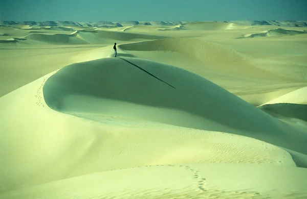 Αμμόλοφοι Κοντά Στο Χωριό Oasis Και Siwa Της Λιβύης Της — Φωτογραφία Αρχείου