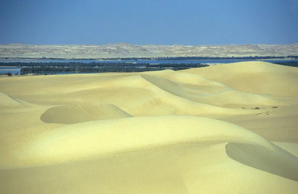 Песчаные Дюны Вблизи Оазиса Деревни Сива Ливии Пустыне Египет Северной — стоковое фото