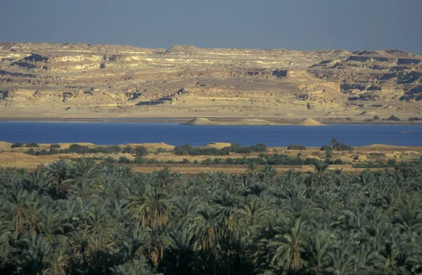 the Landscape and nature of the Salt Lake and Lake Siwa at the old Village of Siwa in the Libyan or estern Desert of Egypt in North Africa.  Egypt, Siwa, March, 2000
