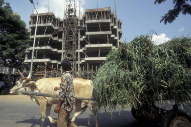 Hindistan 'ın Karnataka eyaletinin Bangalore şehrinde manzaralı bir el arabası. Hindistan, Bangalore, Nisan 1998