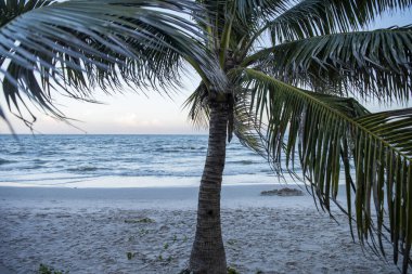 Hua Hin Sahili, Tayland 'da Prachuap Khiri Khan eyaletinin Hua Hin şehrinin kıyısında, Aralık 2023