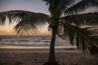 Hua Hin Sahili, Tayland 'da Prachuap Khiri Khan eyaletinin Hua Hin şehrinin kıyısında, Aralık 2023