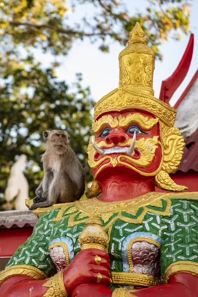 Een Macaque Monkey Zit Bij Een Figuur Wat Khao Takiab — Stockfoto