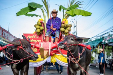 Buffalo Yarış Festivali 'ndeki geçit törenindeki insanlar ve Buffalos ya da Tayland' ın Chonburi eyaletindeki Mueang Chonburi şehrindeki Wing Khwai. Tayland, Chonburi, 28 Ekim, 2023