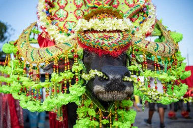 Buffalo Yarış Festivali 'ndeki geçit töreninde ya da Tayland' ın Chonburi eyaletindeki Mueang Chonburi şehrindeki Wing Khwai 'de süslü bir Buffalo. Tayland, Chonburi, 28 Ekim, 2023