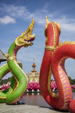 Tayland 'ın Chachoengsao şehrindeki Mueang Chachoengsao şehrindeki Wat Saman Rattanaram' da büyük bir Naga heykeli. Tayland, Chachoengsao, Kasım, 3, 2023