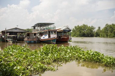 Tayland 'ın Chachoengsao şehrindeki Mueang Chachoengsao şehrinin yakınlarındaki Talat Bang Khla' daki Bang Pakong Nehri. Tayland, Chachoengsao, 4 Kasım 2023