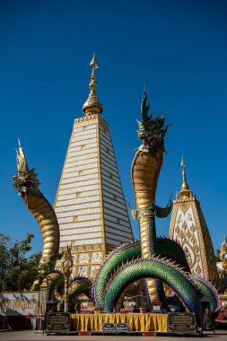 Tayland, Ubon Ratchathani - 24 Kasım 2023: Tayland 'ın Ubon Ratchathani ve Tayland' ın Ubon Ratchathani kentindeki Nong Bua Tapınağı 'ndaki Sri Maha Pho Chedi' yi çevreleyen Gökkuşağı Yılanı.