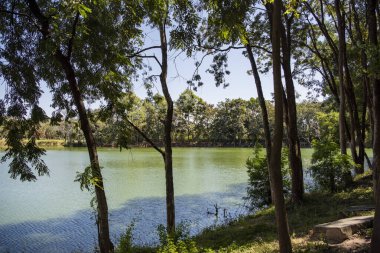 Udon Ratchathani ve Tayland 'ın Ubon Ratchathani ilindeki Wat Sa Prasan Suk gölü ve manzarası. Tayland, Ubon Ratchathani, 24 Kasım 2023