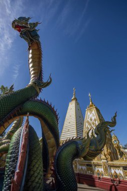 Tayland, Ubon Ratchathani - 24 Kasım 2023: Tayland 'ın Ubon Ratchathani ve Tayland' ın Ubon Ratchathani kentindeki Nong Bua Tapınağı 'ndaki Sri Maha Pho Chedi' yi çevreleyen Gökkuşağı Yılanı.