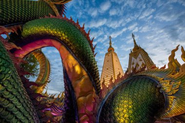 Tayland, Ubon Ratchathani - 24 Kasım 2023: Tayland 'ın Ubon Ratchathani ve Tayland' ın Ubon Ratchathani kentindeki Nong Bua Tapınağı 'ndaki Sri Maha Pho Chedi' yi çevreleyen Gökkuşağı Yılanı.