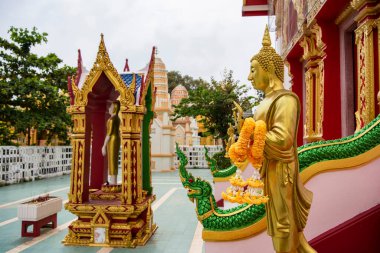 Wat Huai Chorakhe Nakhon Pathom, Tayland Nakhon Pathom, 10 Kasım 2023.