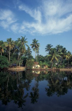 Hindistan 'ın Kerala eyaletinin Kochi veya Cochin kenti yakınlarındaki Lagoon ve Backwater sahillerindeki bir kanalda bir ev. Hindistan, Koçin, Nisan 1998     