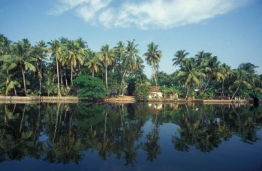 Hindistan 'ın Kerala eyaletinin Kochi veya Cochin kenti yakınlarındaki Lagoon ve Backwater sahillerindeki bir kanalda bir ev. Hindistan, Koçin, Nisan 1998     