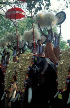 Hindistan 'ın Kerala ilindeki Thrissur veya Trichur kentinde düzenlenen geleneksel Pooram veya Fil Festivali ve Tapınak Festivali' nde filleriyle çiftçiler. Hindistan, Thrissur, Nisan 1998