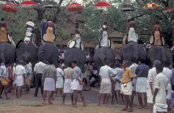 stock image Farmers with their Elephants at the traditional Pooram or Elephant Festival and Temple Festival in the city of Thrissur or Trichur in the Province Kerala in India. India, Thrissur, April, 1998