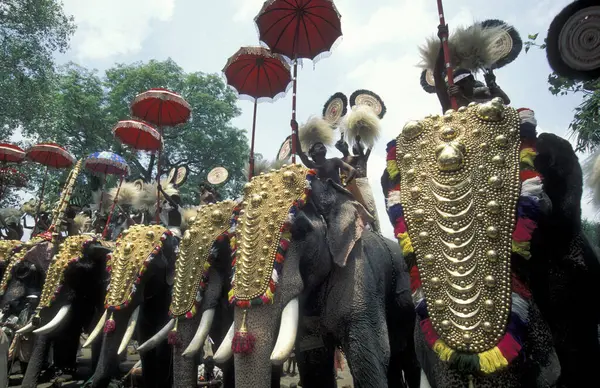 stock image Farmers with their Elephants at the traditional Pooram or Elephant Festival and Temple Festival in the city of Thrissur or Trichur in the Province Kerala in India. India, Thrissur, April, 1998