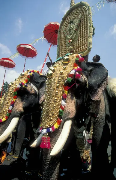 stock image Farmers with their Elephants at the traditional Pooram or Elephant Festival and Temple Festival in the city of Thrissur or Trichur in the Province Kerala in India. India, Thrissur, April, 1998