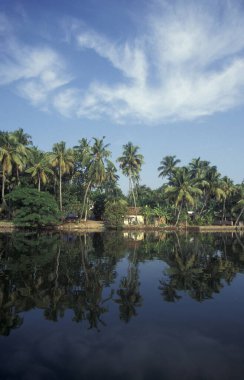 Hindistan 'ın Kerala eyaletinin Kochi veya Cochin kenti yakınlarındaki sahil kıyısındaki bir kanalda palmiye ağaçları olan bir ev. Hindistan, Koçin, Nisan 1998