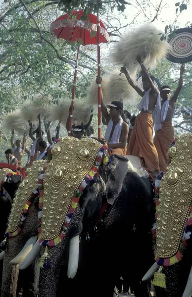 stock image Farmers with their Elephants at the traditional Pooram or Elephant Festival and Temple Festival in the city of Thrissur or Trichur in the Province Kerala in India. India, Thrissur, April, 1998