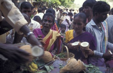 Hindistan 'ın Karnataka eyaletindeki Hampi şehrinde bulunan Virupaksha Tapınağı' ndaki Holi Hindu Tapınağı Festivali 'nde hindistan cevizi seremonisi.. 