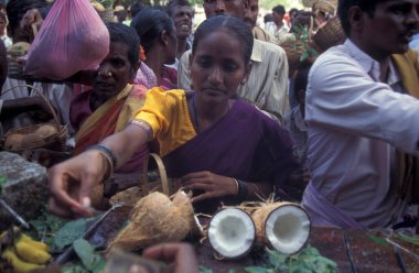 Hindistan 'ın Karnataka eyaletindeki Hampi şehrinde bulunan Virupaksha Tapınağı' ndaki Holi Hindu Tapınağı Festivali 'nde hindistan cevizi seremonisi.. 