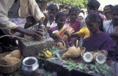 Hindistan 'ın Karnataka eyaletindeki Hampi şehrinde bulunan Virupaksha Tapınağı' ndaki Holi Hindu Tapınağı Festivali 'nde hindistan cevizi seremonisi.. 