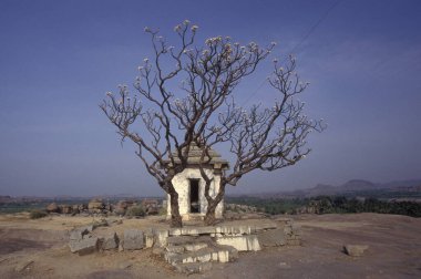 Hindistan 'ın Karnataka eyaletindeki Hampi şehrinin tipik Stones ve Hills manzarası.. 