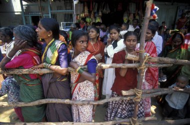 Hindistan 'ın Karnataka eyaletindeki Hampi şehrinde bulunan Virupaksha Tapınağı' ndaki Holi Hindu Tapınağı Festivali 'nde hindistan cevizi seremonisi.. 