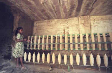 Hindistan 'ın Karnataka eyaletindeki Mysore şehrinde koyun dokuma yün fabrikasında çalışan bir çocuk. Hindistan, Mysore, Mart 1998