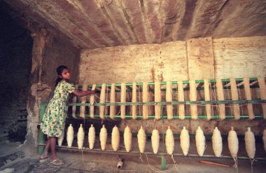 Hindistan 'ın Karnataka eyaletindeki Mysore şehrinde koyun dokuma yün fabrikasında çalışan bir çocuk. Hindistan, Mysore, Mart 1998